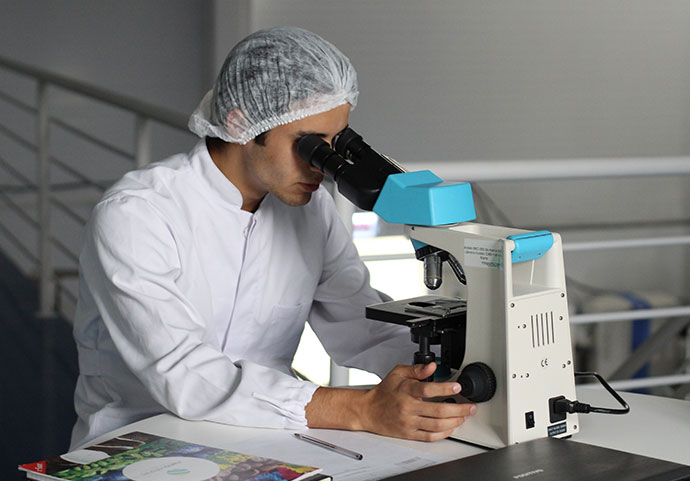 R&D
